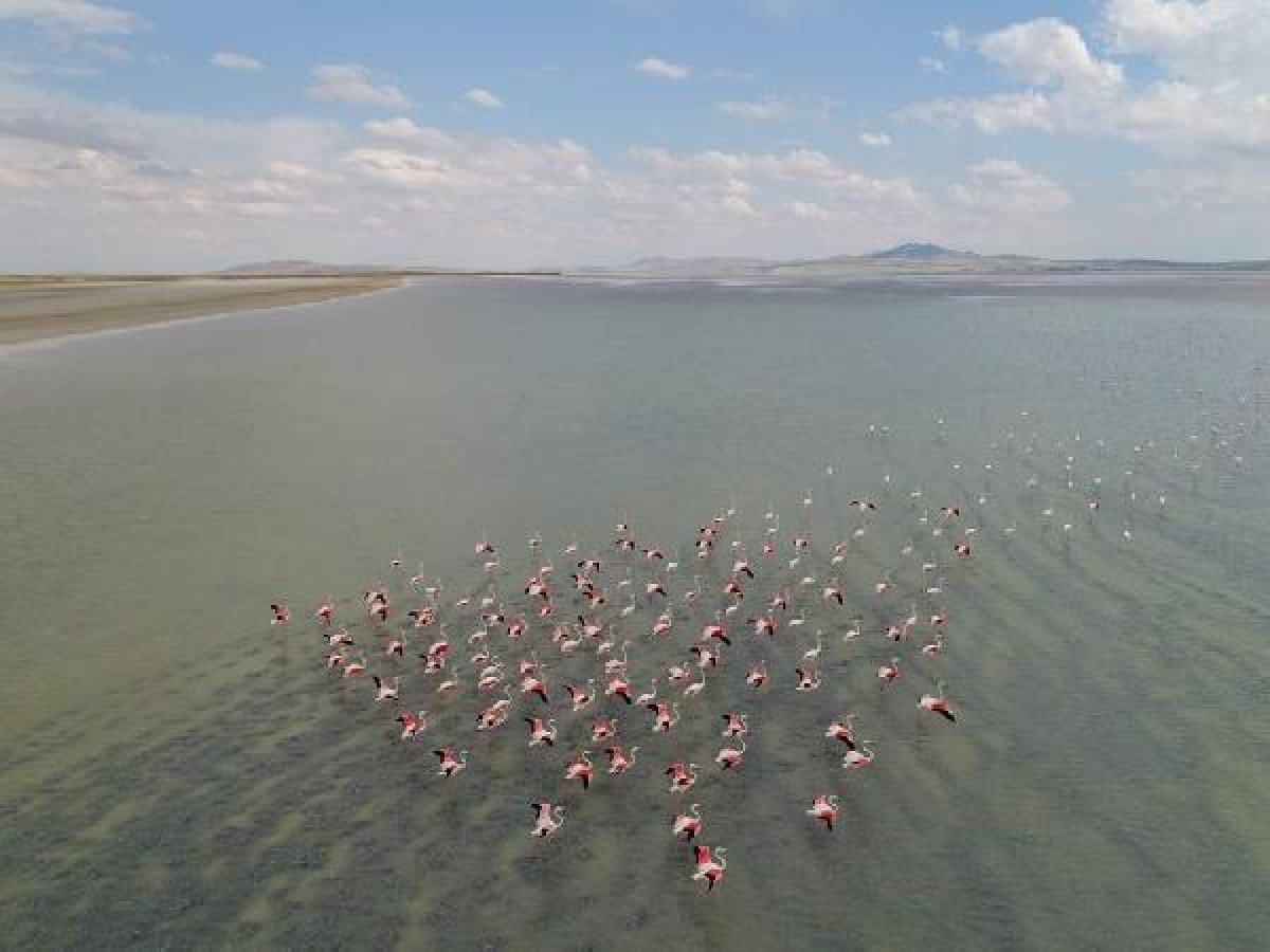 Seyfe Gölü kuraklıkla mücadele ediyor
